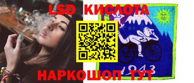 шишки Кандалакша