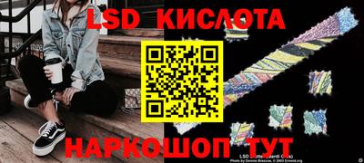 шишки Кандалакша