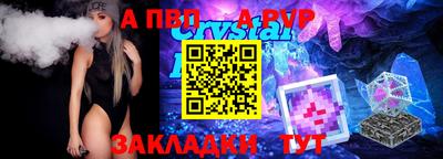 шишки Кандалакша