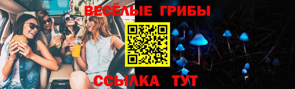 Галлюциногенные грибы мицелий Кулебаки
